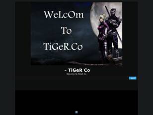 tiger co