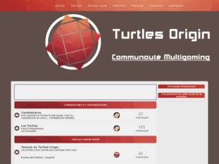 Turtles Origin