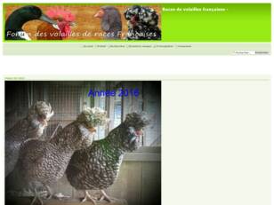 créer un forum : Races de volailles françaises