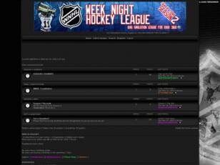 Week Night Hockey League