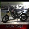 Passion motos Qingqi 125