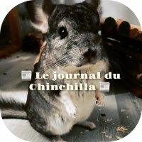 Le Journal du Chinchilla