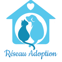 Réseau Adoption - Annonce et cagnotte