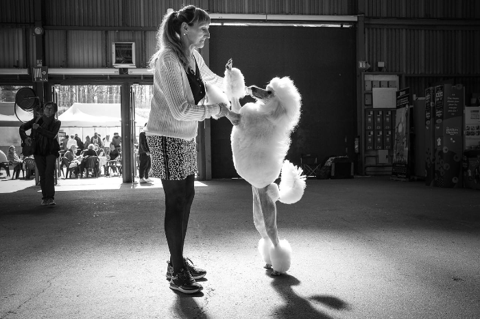 Valérie Teppe - Photographe canin.png