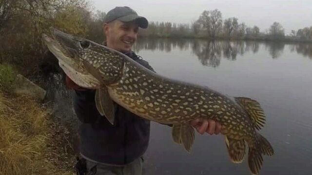 Main photo Pêcher le Brochet en étang