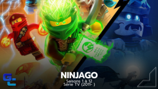 Ninjago, Saisons 1 à 12