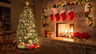 The History of Christmas Trees