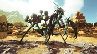 Giant Praying Mantis