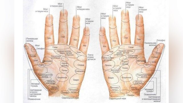 Японский пальцевый массаж, для улучшения памяти, внимания