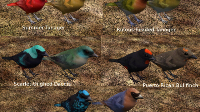 Main photo Tanager Pack 