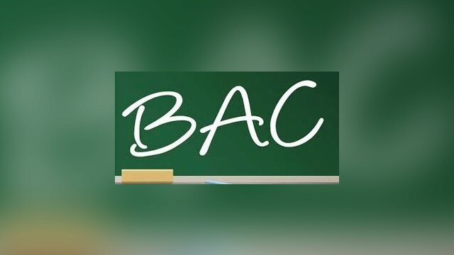 Main photo BAC : Comment réussir en 9 étapes clés !