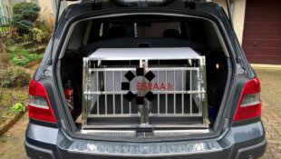 Caisse de Transport Pour Chiens de Chasse ESRAA