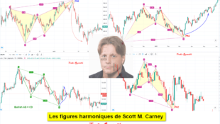 Les figures harmoniques de Scott M. Carney expliqués en détail