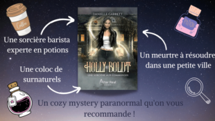 Une sorcière aux commandes - Holly Boldt #1 de Danielle Garrett