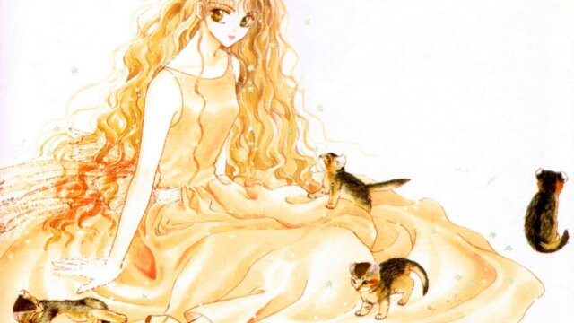 Main photo Autres mangas de Clamp