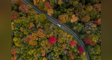 Tourisme : en images : couleurs d'automne sur le sud des Etats Unis !