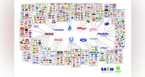 10 شركات عالمية تتحكم في كل شيء تشتريه تقريباً