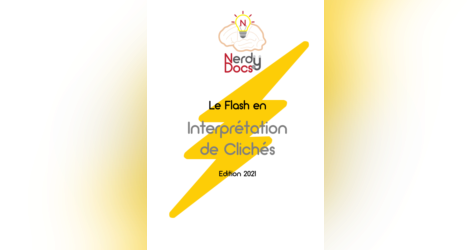 [fiches-radiographie ]:Le Flash en Interprétation de clichés pdf gratuit 