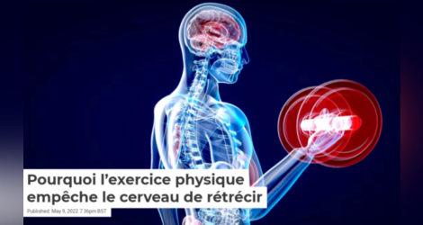 Pourquoi l'exercice physique empêche le cerveau de rétrécir 