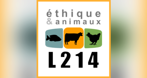 Pour un élevage plus humain des poulets, une manifestation de L214 à Rungis 