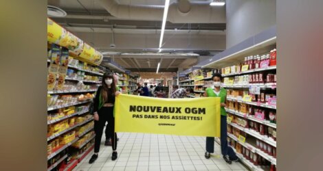 Mobilisation anti OGM : à Lyon, Greenpeace investit un supermarché de la Part-Dieu